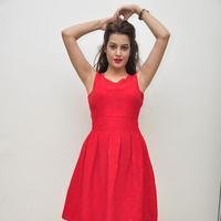 Diksha Panth New Gallery | Picture 1188057
