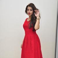 Diksha Panth New Gallery | Picture 1188059