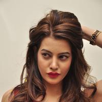 Diksha Panth New Gallery | Picture 1188060