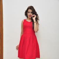 Diksha Panth New Gallery | Picture 1188061