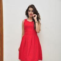 Diksha Panth New Gallery | Picture 1188062