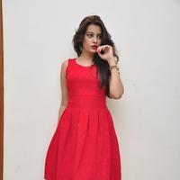 Diksha Panth New Gallery | Picture 1188063