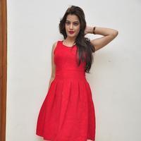 Diksha Panth New Gallery | Picture 1188065