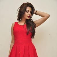 Diksha Panth New Gallery | Picture 1188066