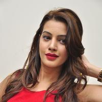 Diksha Panth New Gallery | Picture 1188068