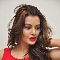 Diksha Panth New Gallery | Picture 1188071