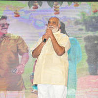 K. Raghavendra Rao - Soggade Chinni Nayana Movie Audio Launch Stills | Picture 1188744