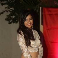 Vithika Sheru Latest Photos | Picture 1188273