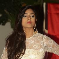 Vithika Sheru Latest Photos | Picture 1188322