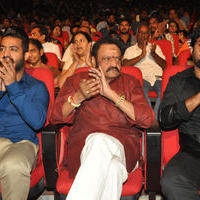 Nannaku Prematho Movie Audio Launch Stills | Picture 1192078