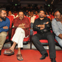 Nannaku Prematho Movie Audio Launch Stills | Picture 1192088