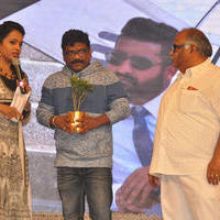 Nannaku Prematho Movie Audio Launch Stills | Picture 1192139