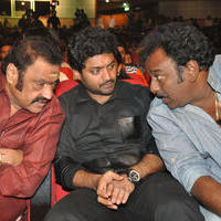 Nannaku Prematho Movie Audio Launch Stills | Picture 1192160
