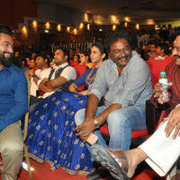 Nannaku Prematho Movie Audio Launch Stills | Picture 1192208