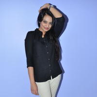Nikitha Narayan - Ladies and Gentlemen Movie Preview Photos