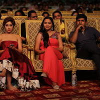 Gama Tollywood Music Awards 2014 Photos | Picture 957566