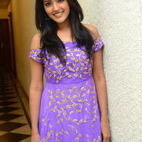 Eesha at Ramleela Audio Launch Photos | Picture 958808