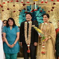 Celebs at Rajendra Prasad Son Wedding Reception Stills | Picture 960032