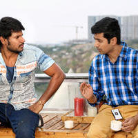 Tiger Movie Gallery | Picture 960433