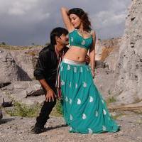 Dhee Ante Dhee Movie New Gallery | Picture 962148