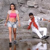 Dhee Ante Dhee Movie New Gallery | Picture 962158