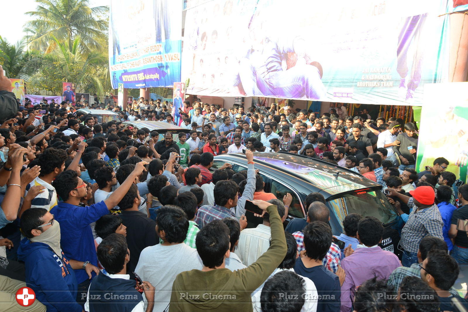 Temper Movie Release Hangama in Hyderabad Photos | Picture 962319