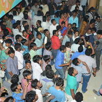 Temper Movie Release Hangama in Hyderabad Photos | Picture 962210