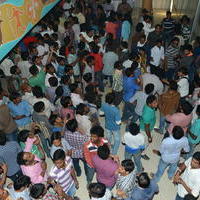 Temper Movie Release Hangama in Hyderabad Photos | Picture 962211