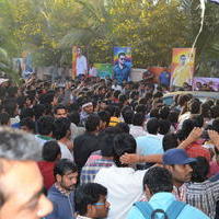 Temper Movie Release Hangama in Hyderabad Photos | Picture 962249