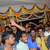 Temper Movie Release Hangama in Hyderabad Photos | Picture 962253