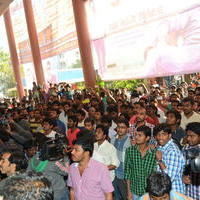 Temper Movie Release Hangama in Hyderabad Photos | Picture 962256