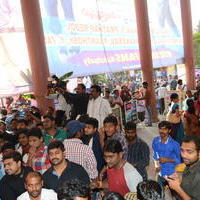 Temper Movie Release Hangama in Hyderabad Photos | Picture 962258