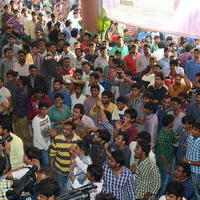 Temper Movie Release Hangama in Hyderabad Photos | Picture 962262