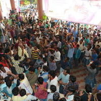 Temper Movie Release Hangama in Hyderabad Photos | Picture 962263