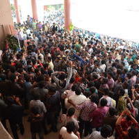 Temper Movie Release Hangama in Hyderabad Photos | Picture 962282