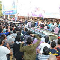 Temper Movie Release Hangama in Hyderabad Photos | Picture 962310