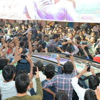 Temper Movie Release Hangama in Hyderabad Photos | Picture 962314