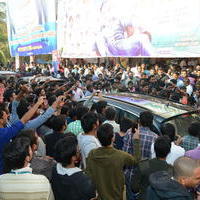 Temper Movie Release Hangama in Hyderabad Photos | Picture 962317