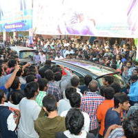 Temper Movie Release Hangama in Hyderabad Photos | Picture 962320