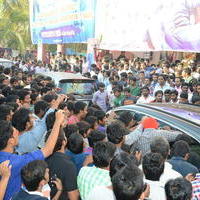 Temper Movie Release Hangama in Hyderabad Photos | Picture 962321