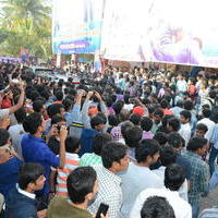 Temper Movie Release Hangama in Hyderabad Photos | Picture 962327