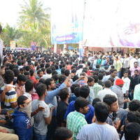 Temper Movie Release Hangama in Hyderabad Photos | Picture 962329