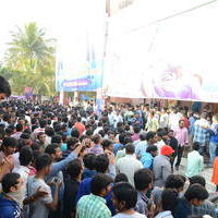 Temper Movie Release Hangama in Hyderabad Photos | Picture 962330