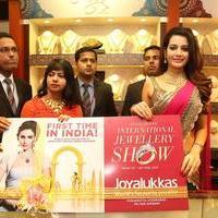 Diksha Panth - Joyalukkas International Jewellery Show Photos | Picture 964465