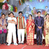Prathani Rama Krishna Goud Son Wedding Reception Photos | Picture 965136