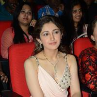 Sayesha Saigal at Akhil Akkineni Movie Launch Photos | Picture 964825