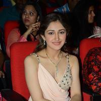 Sayesha Saigal at Akhil Akkineni Movie Launch Photos | Picture 964838