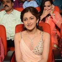 Sayesha Saigal at Akhil Akkineni Movie Launch Photos