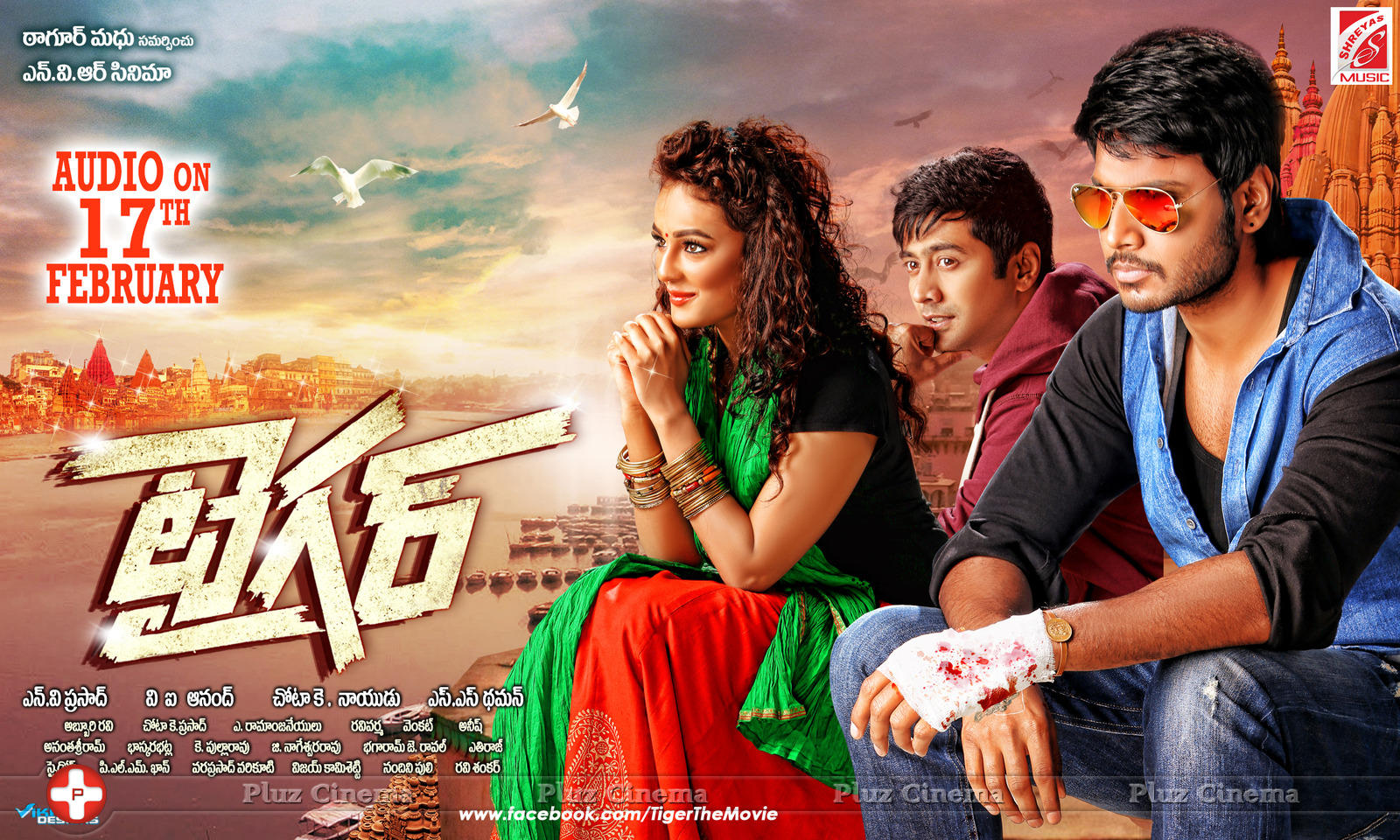 Tiger Audio Release Posters | Picture 963898