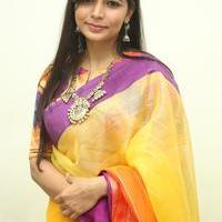 Chinmayi - Tiger Movie Audio Launch Photos | Picture 966265